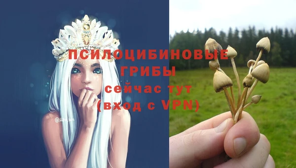 мескалин Арсеньев