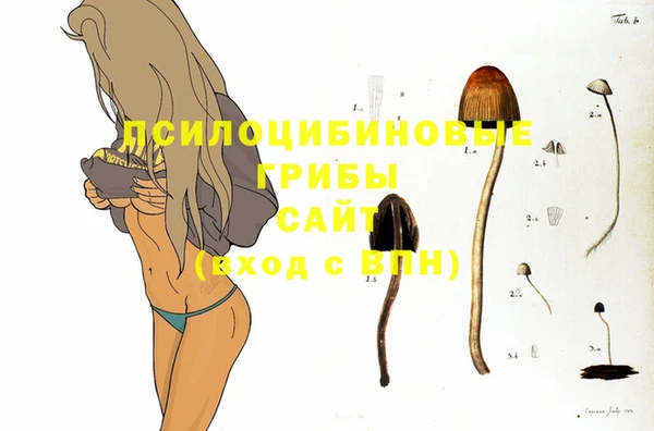 мескалин Арсеньев