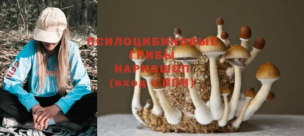 мескалин Арсеньев